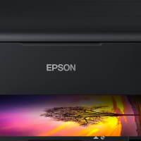 Epson Printer  Offline